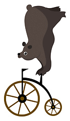 Image showing Clipart of circus bear on a bike vector or color illustration