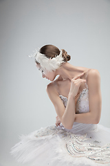 Image showing Close up of young graceful ballerina on white studio background