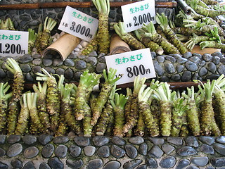 Image showing Wasabi root for sale