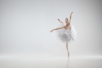 Image showing Young graceful ballerina on white studio background