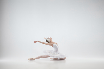 Image showing Young graceful ballerina on white studio background