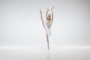 Image showing Young graceful ballerina on white studio background