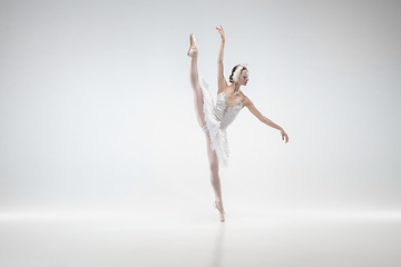 Image showing Young graceful ballerina on white studio background