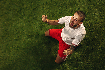 Image showing Top view of caucasian football or soccer player on green background of grass