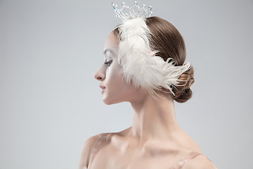 Image showing Close up of young graceful ballerina on white studio background