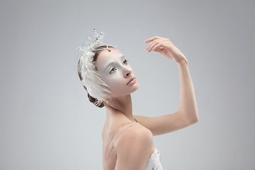 Image showing Close up of young graceful ballerina on white studio background