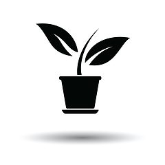 Image showing Plant in flower pot icon