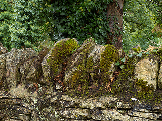 Image showing Cotswold Stone Wall