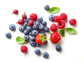 Image showing composition of fresh berries and green leaves