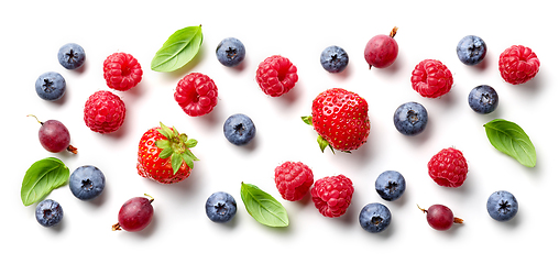 Image showing composition of fresh berries and green leaves