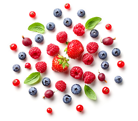 Image showing composition of fresh berries and green leaves