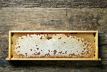 Image showing wooden frame of honey combs