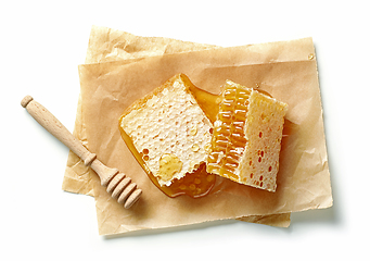 Image showing pieces of fresh honey combs