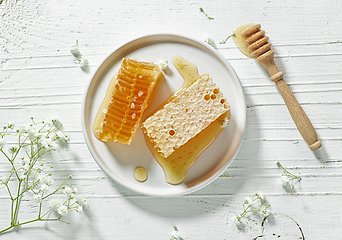 Image showing plate of fresh honey combs