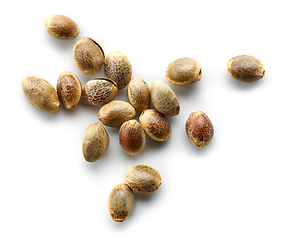 Image showing hemp seeds macro