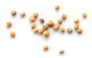 Image showing mustard seeds macro