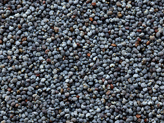 Image showing poppy seeds background