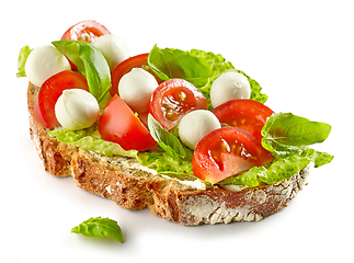 Image showing slice of bread with tomato and mozzarella