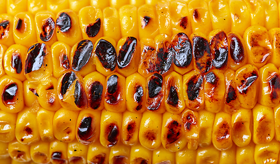 Image showing grilled sweet corn macro