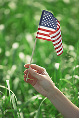 Image showing Hand holding US flag for Independence Day