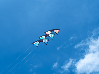 Image showing Three quad line stunt kites