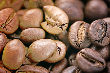 Image showing Coffee beans