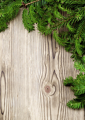 Image showing Christmas Background with Spruce Branch