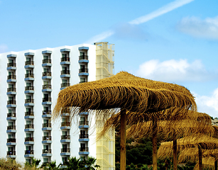 Image showing Thatched Umbrellas in Resort