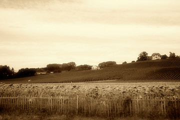 Image showing Country landscape