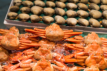 Image showing Fresh Clam and snow crab