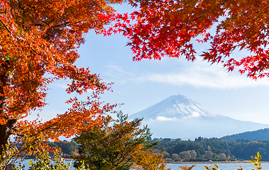 Image showing Mt. Fuji and autumn foliage at Lake Kawaguchi