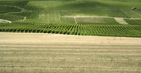 Image showing Country landscape