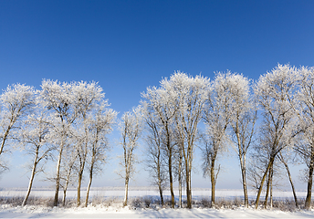 Image showing Winter season. Photo