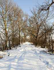 Image showing Snow drifts in winter