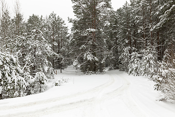 Image showing Snow after snowfall