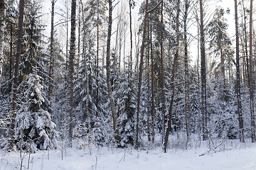 Image showing Snow drifts in winter