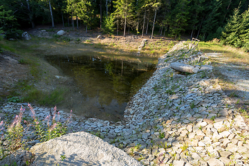 Image showing pond in the summer forest