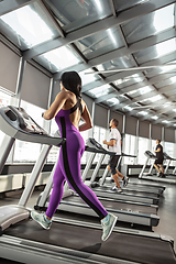 Image showing The female athlete training hard in the gym. Fitness and healthy life concept.