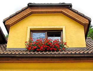 Image showing Attic window of yellow stone house decorated with red geranium