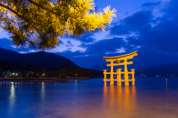 Image showing Itsukushima Shrine at evening