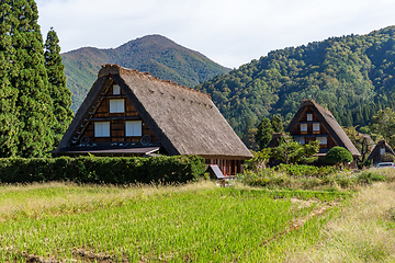 Image showing Shirakawa in forest