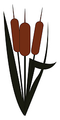 Image showing Clipart of a cattail plant/Typha vector or color illustration