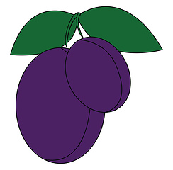 Image showing A pair of plumbs vector or color illustration