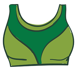 Image showing A bra in green color vector or color illustration