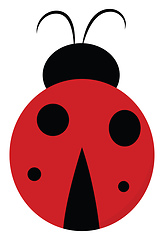 Image showing Cute lady bug vector or color illustration