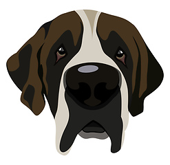 Image showing Saint Bernard illustration vector on white background