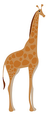 Image showing Drawing of a giraffe vector illustration 