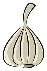 Image showing Garlic illustration 