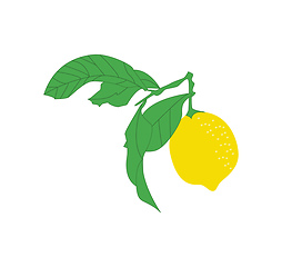 Image showing Fresh lemon juice vector or color illustration