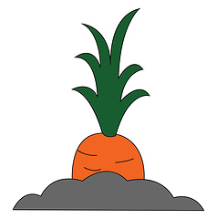 Image showing Painting of a giant orange carrot vector or color illustration